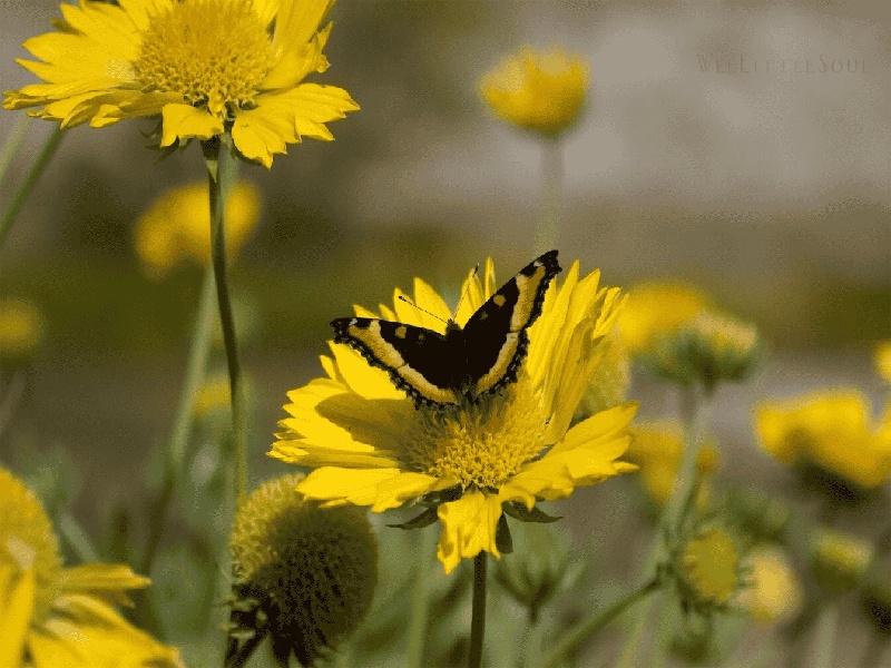 长春试管做几代好,2024年长春中信试管哪个医生（武警附属医院试管）