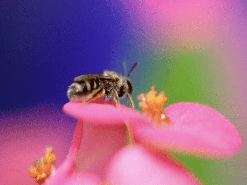 试管怎么防生化（34岁试管成功案例）——